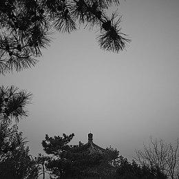 单机新作《仙剑客栈2》正式官宣 2022年上线